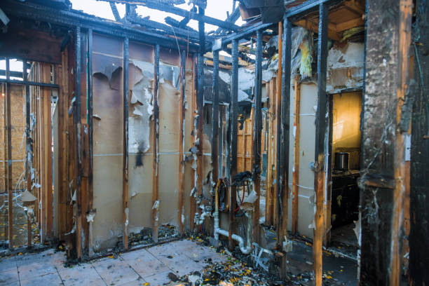 Professional Emergency Fire Cleanup technician working in De Soto, IL